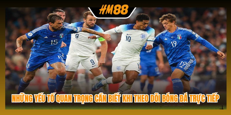 Những yếu tố quan trọng cần biết khi theo dõi bóng đá trực tiếp
